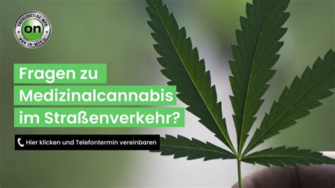 cannabis legalisierung wann genau